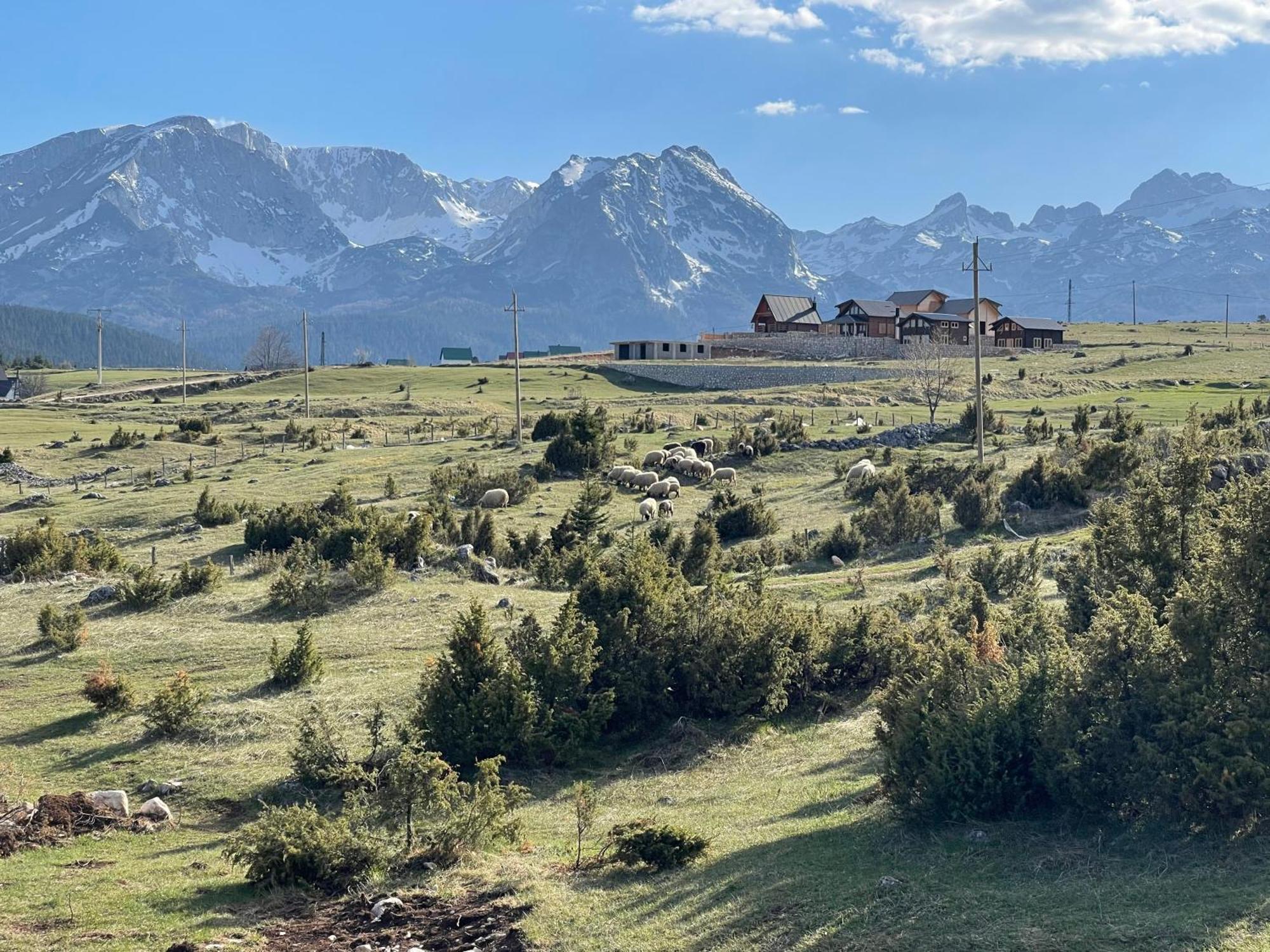 Peaksview Chalets Жабляк Екстер'єр фото